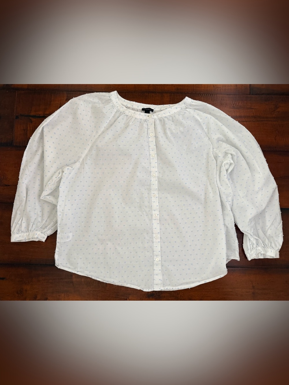 Ann Taylor White Blouse with Light Blue Dot Print